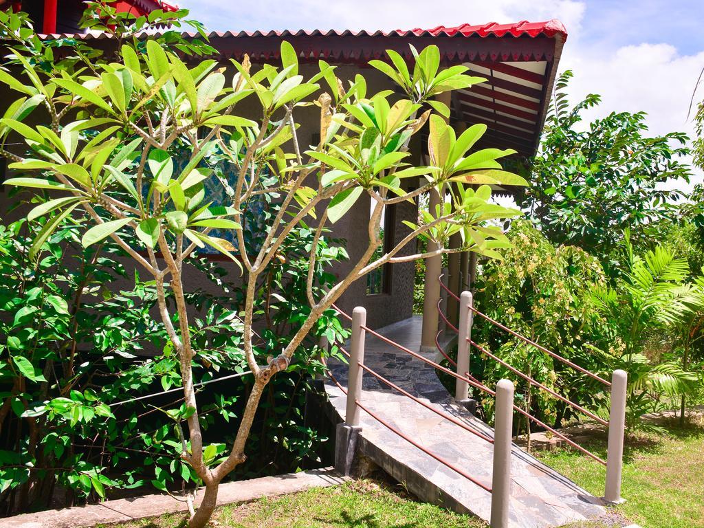 Mass Eco Cabana Yoga & Spa - Unawatuna Buitenkant foto